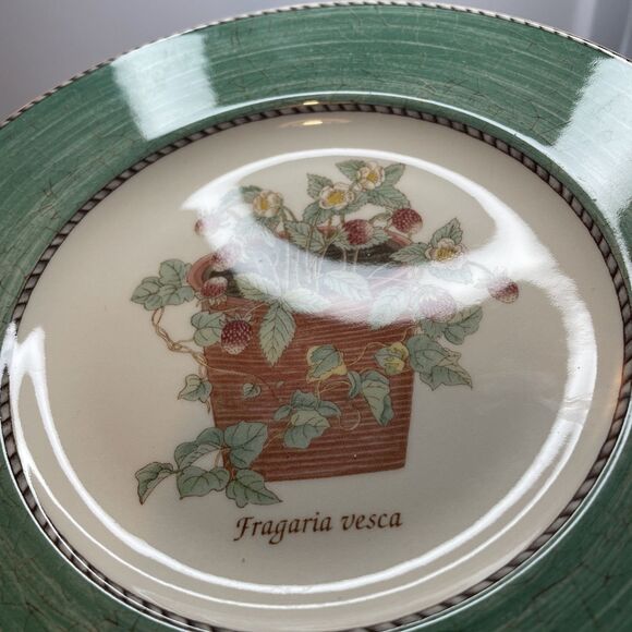 Set of 4 Wedgwood Sarah's Garden Salad Plates - One of Each Color 8 1/4” - Picture 3 of 14